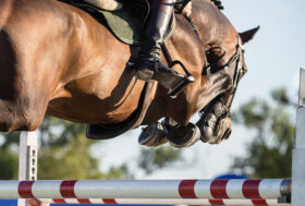 Garofalo a Göteborg per la World Cup. Altri azzurri in gara negli Emirati Arabi, Qatar, Spagna, Francia, Paesi Bassi, USA e Italia