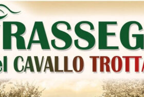 Prima rassegna Cavallo Trottatore risultati previsti non raggiunti