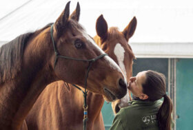 🐴 Fieracavalli: dove grandi e piccoli cavalcano la stessa passione
