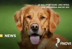 Approfondimento sul tema delle malattie rare degli animali – Pubblicata intervista ad Orlando Paciello (prima parte)