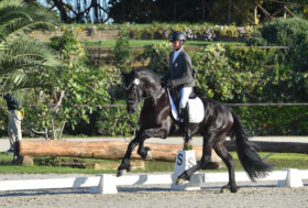 Trionfo alla rassegna del cavallo Frisone: Rikkert e Claudia Montanari conquistano il primo posto con 77,5 AA