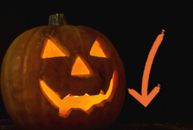 👻🎃 Idee e Novità per Halloween! 🐴 👨‍👨‍👧‍👧 🐕🐈 Biscottini per Cavalli? Ne abbiamo tantissimi!