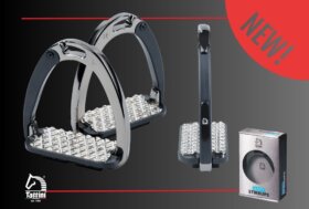 Tante Novità’ Cavalli 🐴 Cavalieri 👨‍👨‍👧‍👧 e Cucce per Cani 🐾 E approfitta degli Sconti 