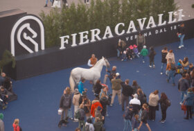 FIERACAVALLI 2025 al via giovedì con 2.200 cavalli, 700 aziende e 200 eventi