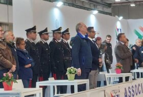 Carosello delle razze Italiane: la vittoria di Italialleva a Fieracavalli Verona 2025