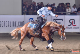 All Futurities Cremona: promesse mantenute