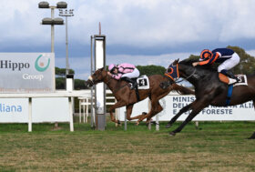 Capannelle – Roma Champions Day: a Charlotte’s Web il Lydia Tesio e a Woodchuk il Premio Roma