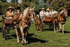 Attacchi: Viaggio nel tempo… in carrozza