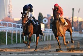 All’ippodromo Snai San Siro lunedì 29 dicembre con l’ultima stagionale di galoppo del 2025