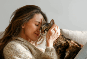 Natale e Capodanno senza ansia per i pet: i consigli scientifici dagli esperti Ceva