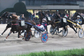 Arcoveggio: sabato occhi puntati sulla Finale del Trofeo delle Regioni per gentlemen e clou con i migliori professionisti