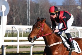 All’ippodromo Snai San Siro il mercoledì post Epifania regala a Parsifal la prova maiden per i neo 3 anni