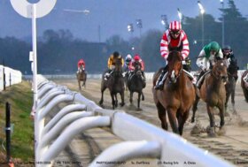 Il mercoledì di galoppo all’Ippodromo Snai San Siro propone sei corse valide per la 9^ stagionale con in evidenza due interessanti handicap