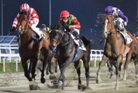 All’ippodromo Snai San Siro di Milano infrasettimanale di galoppo valido per la 4^ giornata stagionale