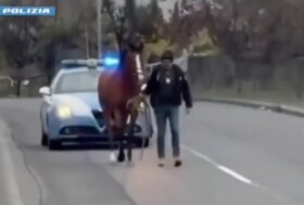 Corsa clandestina fermata a Catania grazie ai droni della Polizia