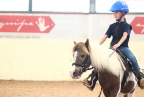 Disponibile il Regolamento di Avviamento al Reining