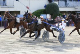 Lunedì di trotto all’Ippodromo di Bologna: 23 febbraio TQQ e programma di livello, Premio Piovana